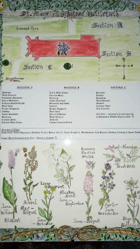 A copy of the flower map, showing a plan of the church, lists of plants in each section and below that a picture of each flower.