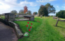 A low level view of the grassy Poppy Path with artificial poppies along its upper bank